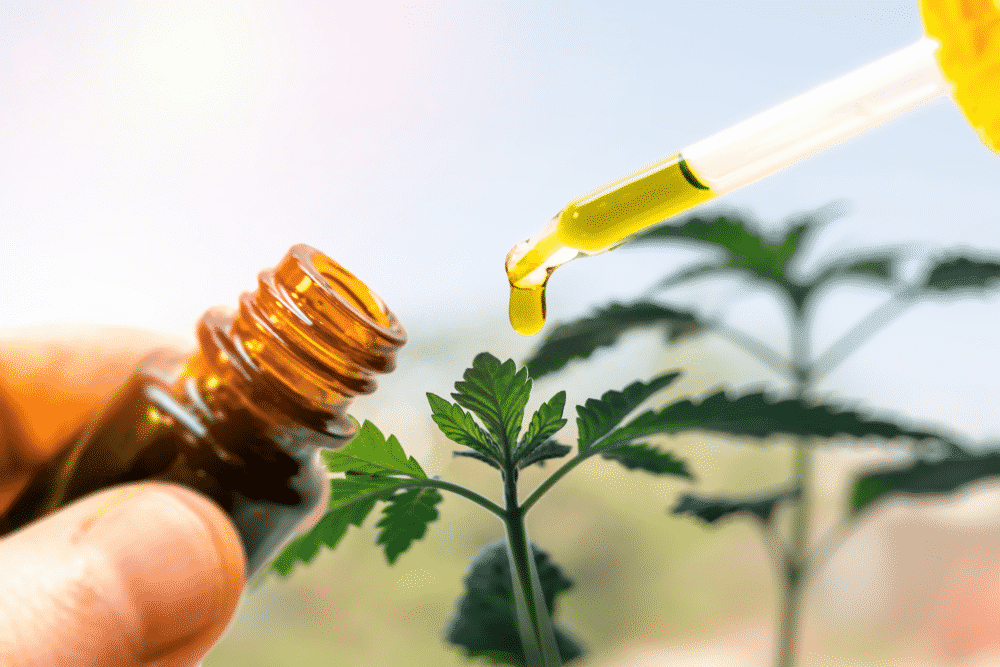 Kannabdiol CBD skutki uboczne oraz zalety stosowania oleju CBD
