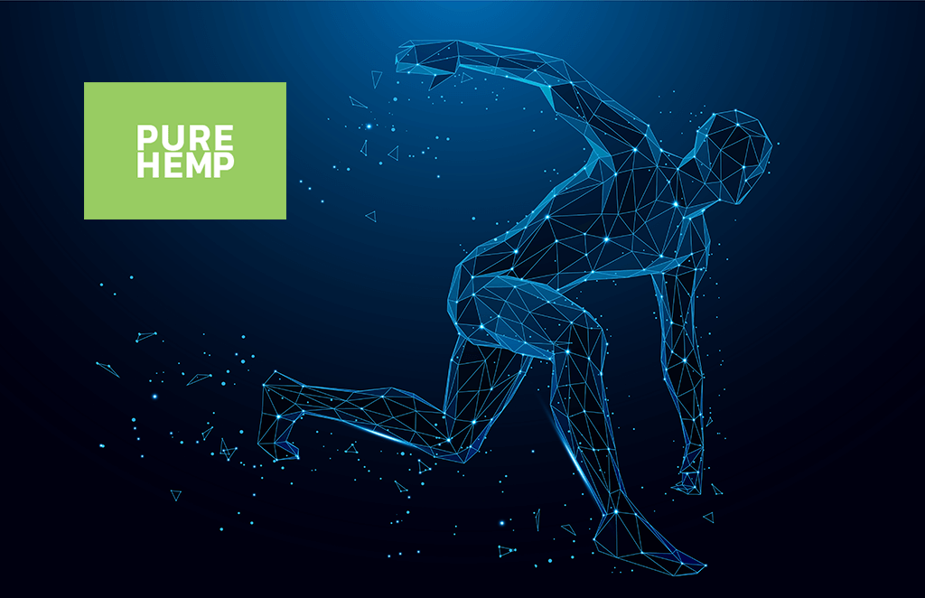 cbd sport cbd w sporcie - purehemp