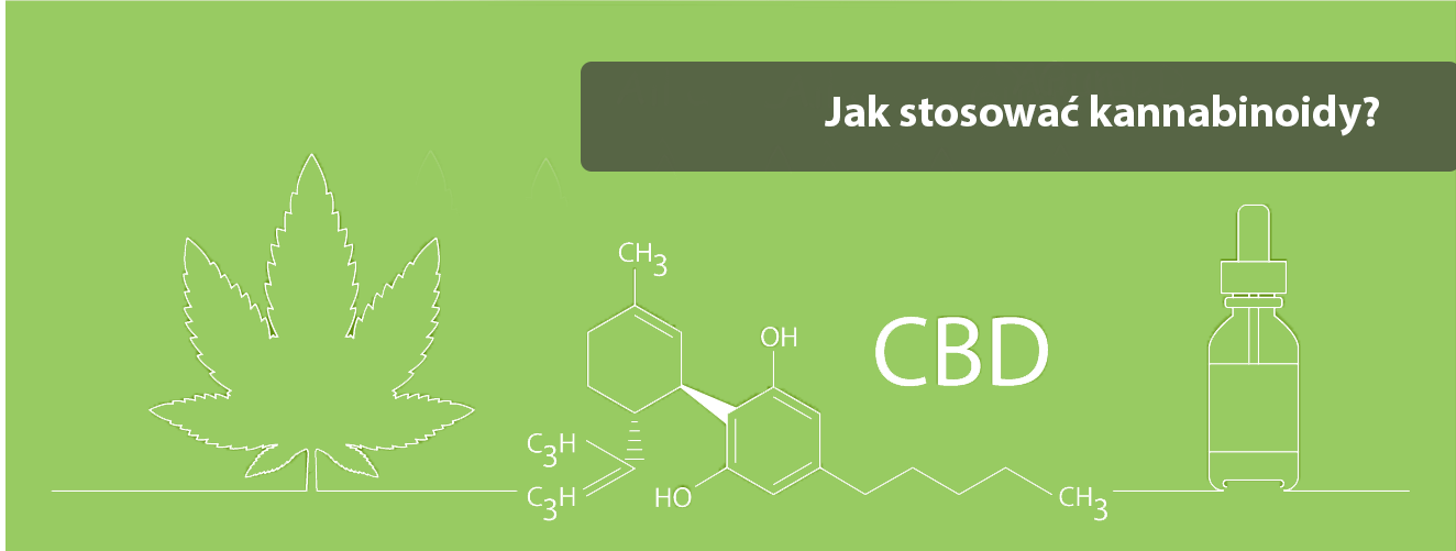 jak stosować kannabinoidy - purehemp - biodostępność cbd
