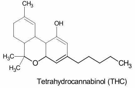 thc cząsteczka budowa 